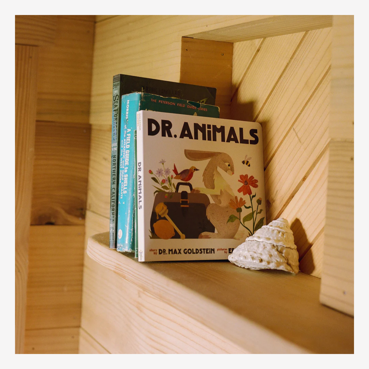 Dr. Max's - Children's Book - Dr. Animals