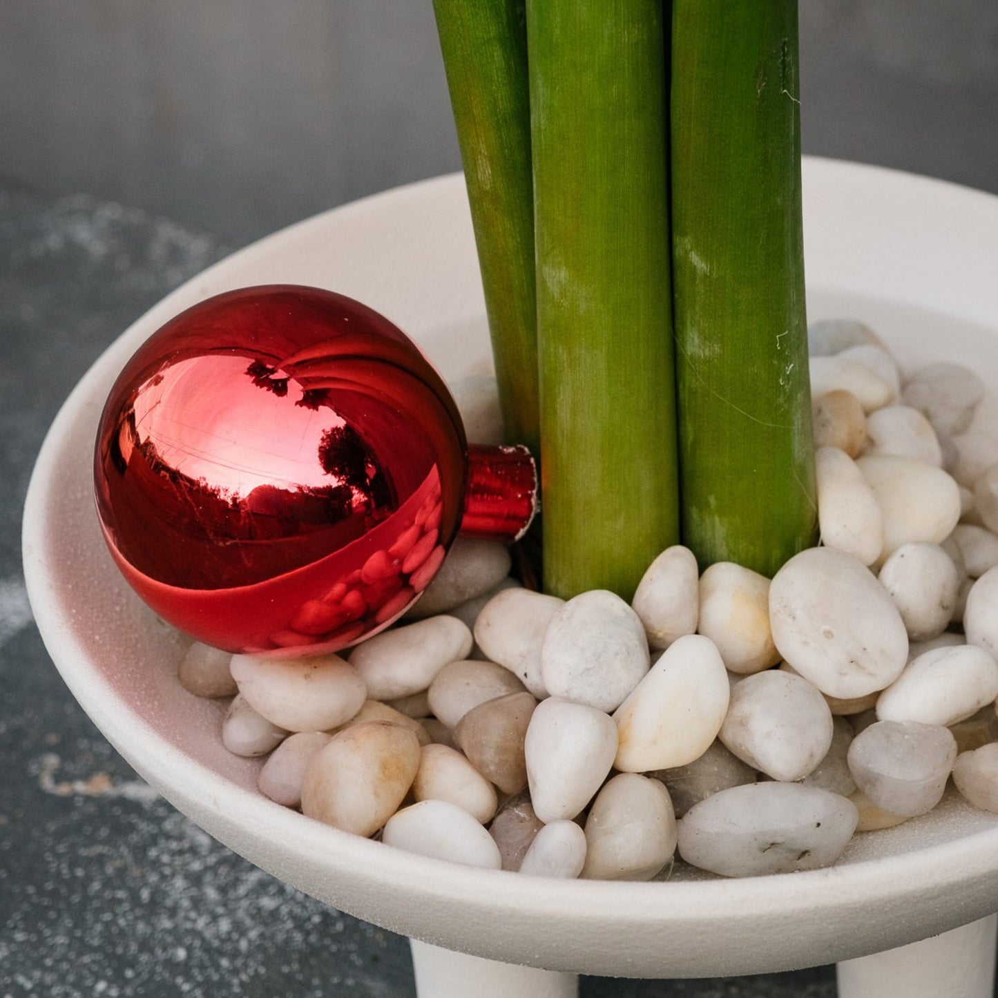 Bespoke Piece- Holiday Amaryllis