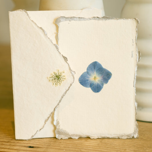 Empty Vase - Handmade Pressed Flower Holiday Postcard - Silver Trim