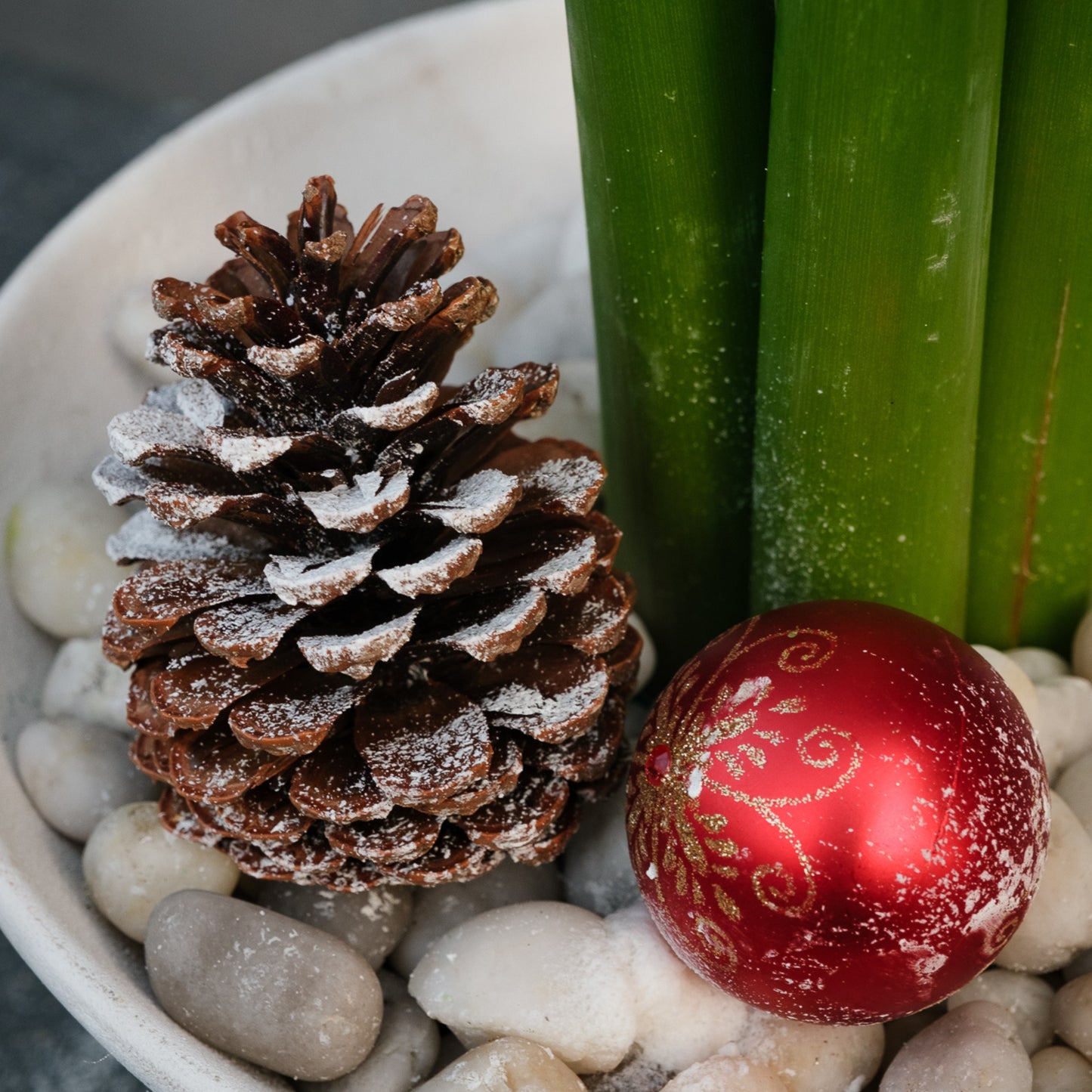 Bespoke Piece- Winter Amaryllis