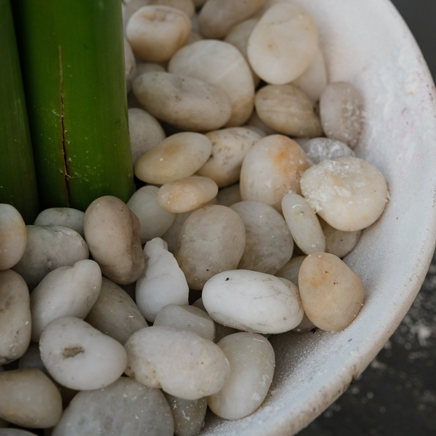 Bespoke Piece- Winter Amaryllis