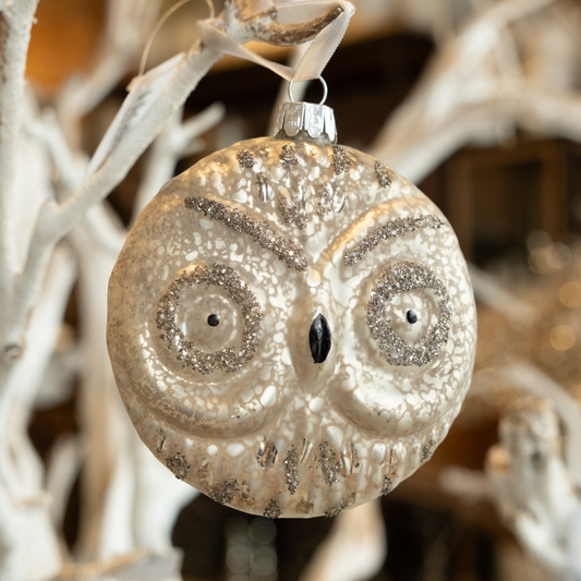 Owl Wish You a Merry Christmas- Holiday Ornament