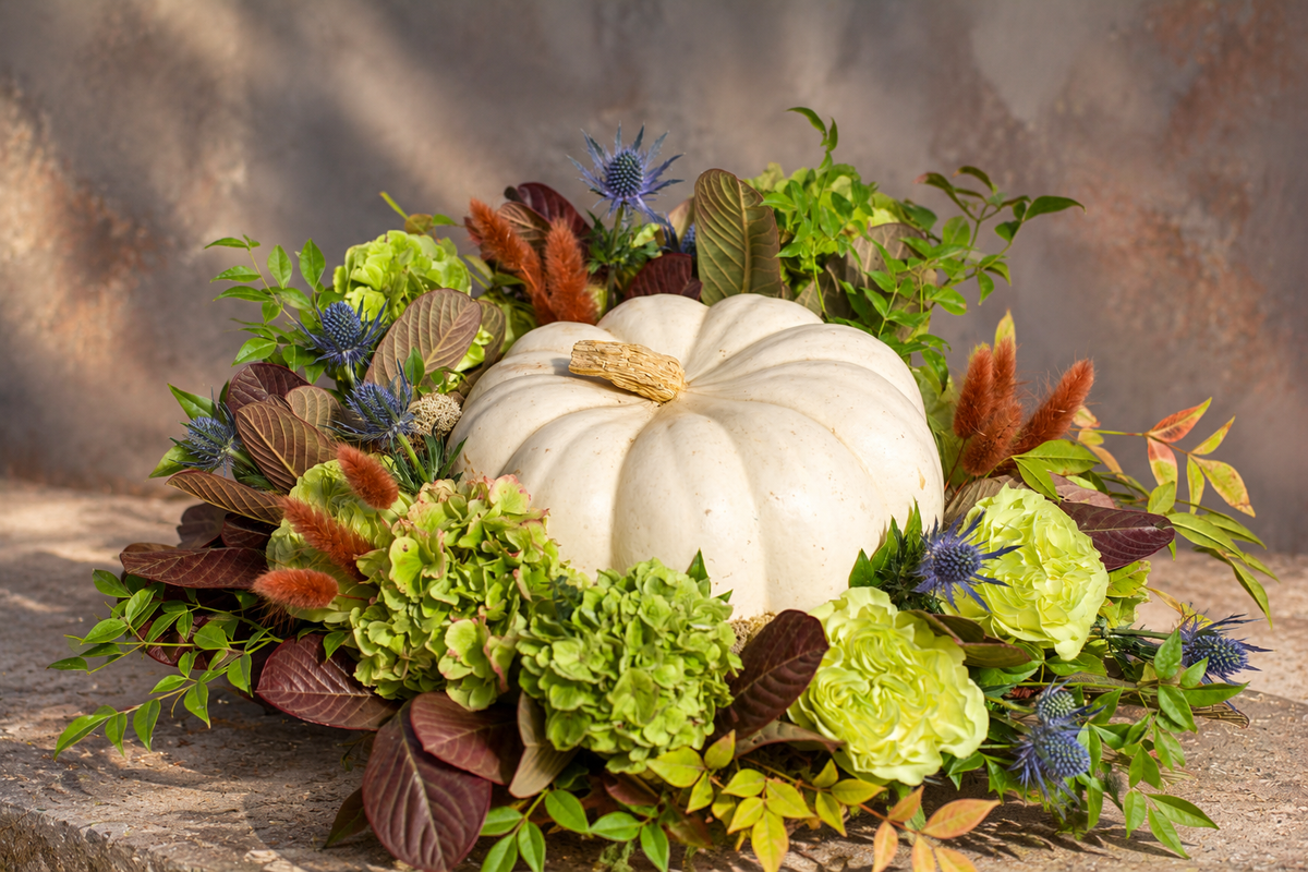 Gourd Morning