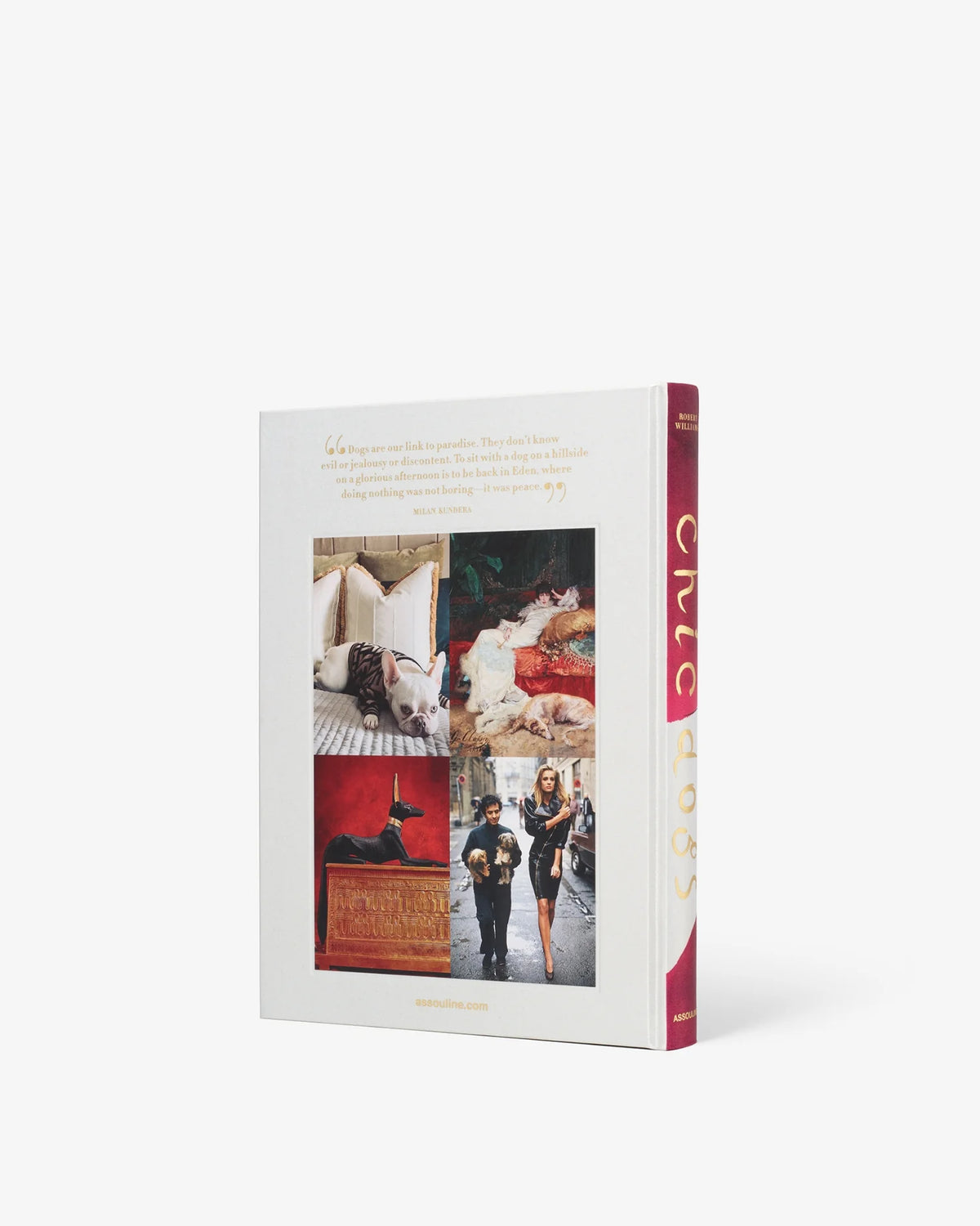 Book - Assouline - Chic Dogs