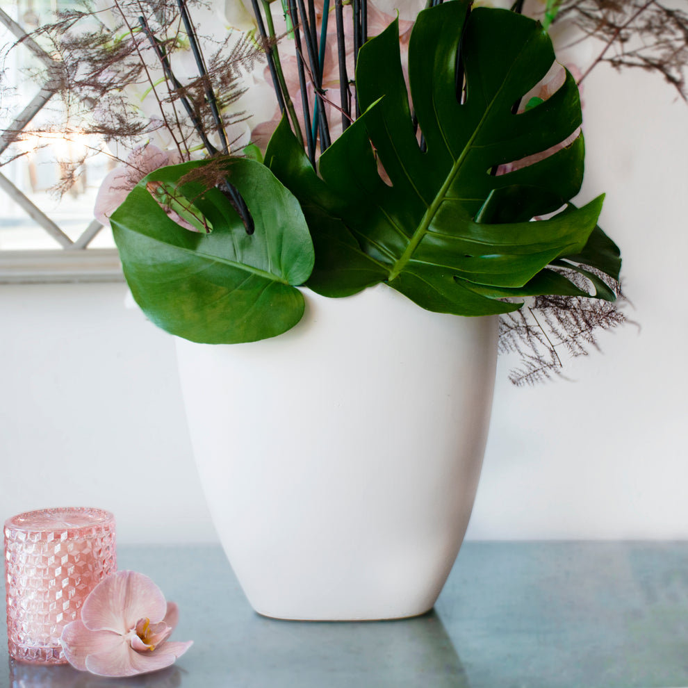 DSC_0568copy.jpg?v=1698104815&width=990