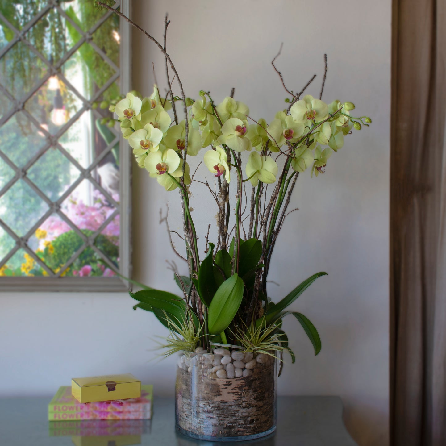 Serenity Orchids