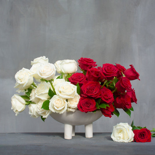 “The Roses” Broken Heart Blooms