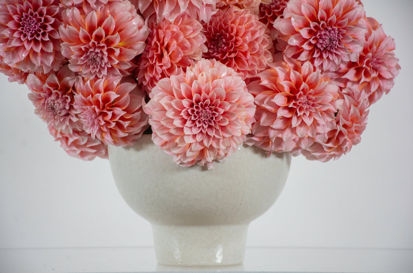 Darling Dahlias