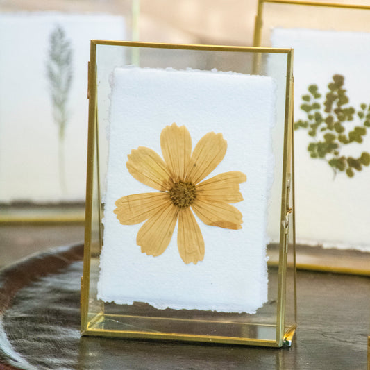 Pressed flower in a gold frame on a wooden surface