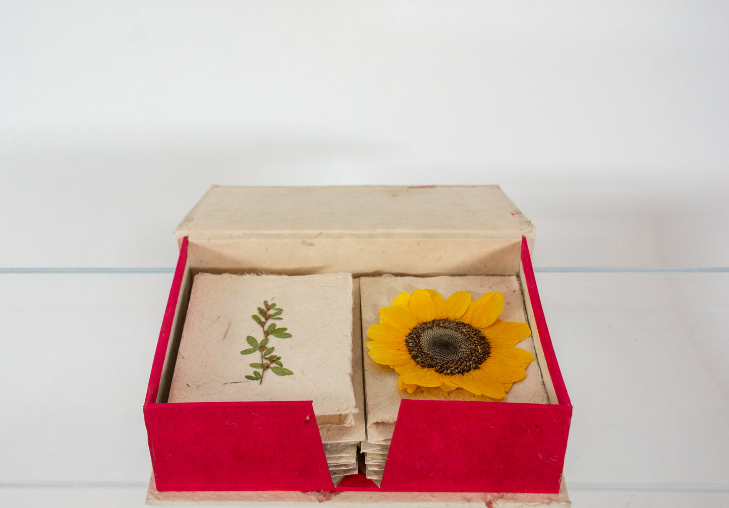 Empty Vase - Hand-made Pressed Flower Greeting Card Stationary Set
