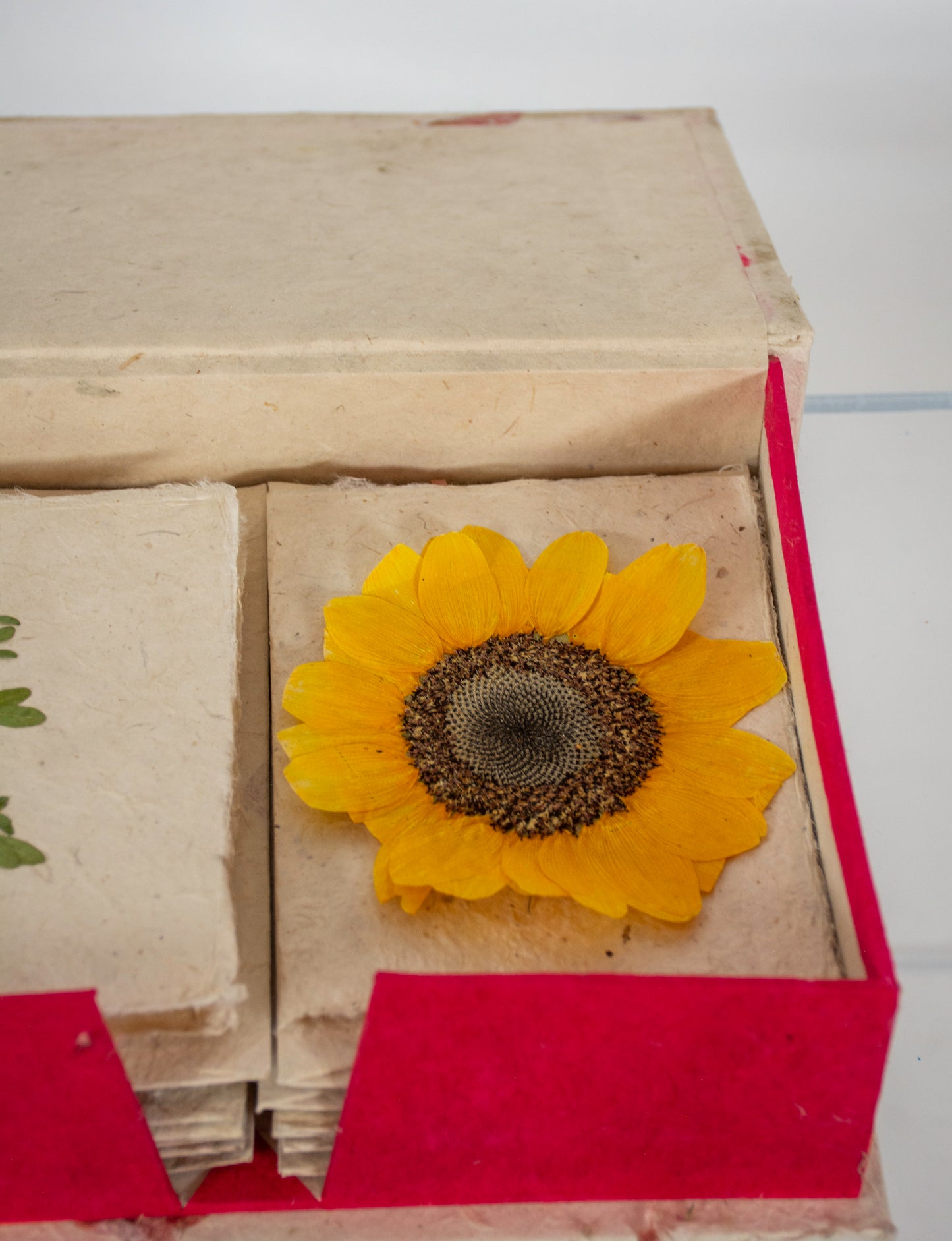 Empty Vase - Hand-made Pressed Flower Greeting Card Stationary Set