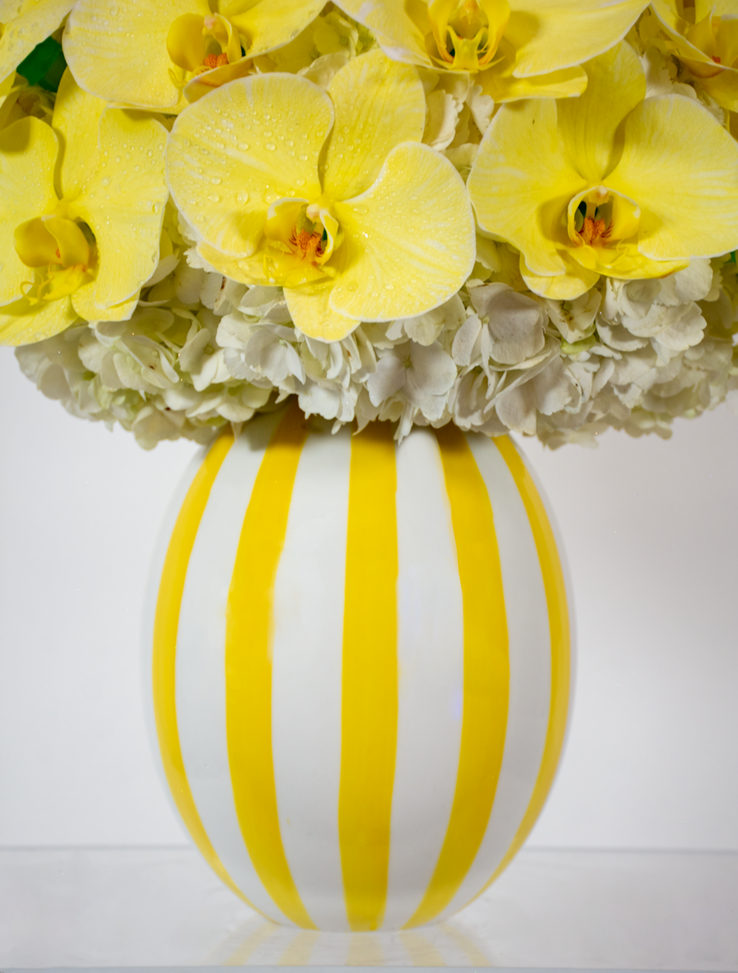 Sunny Orchids