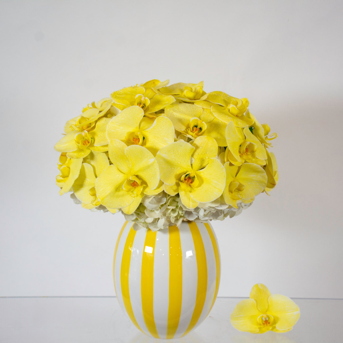 Sunny Orchids