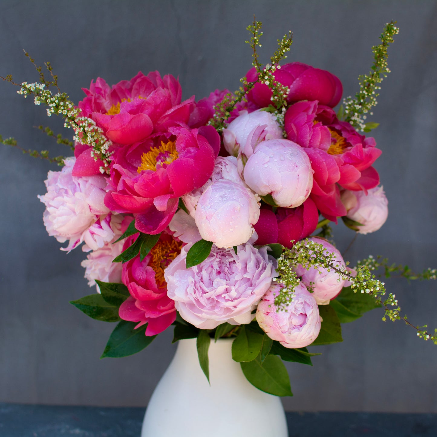 Powder Puff Peonies