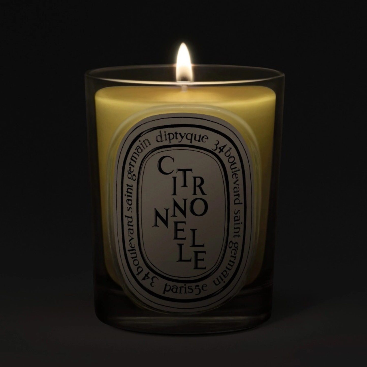 Diptyque - Citronnelle (Lemongrass) - Classic Candle