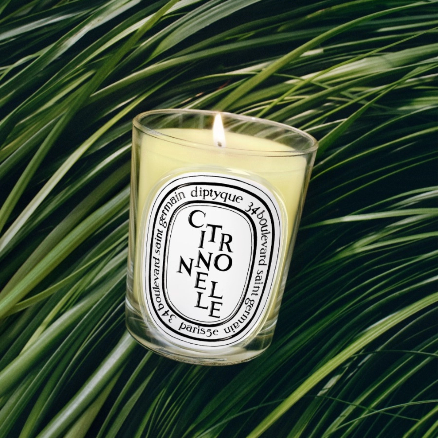 Diptyque - Citronnelle (Lemongrass) - Classic Candle