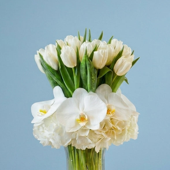 A Song of White Tulips