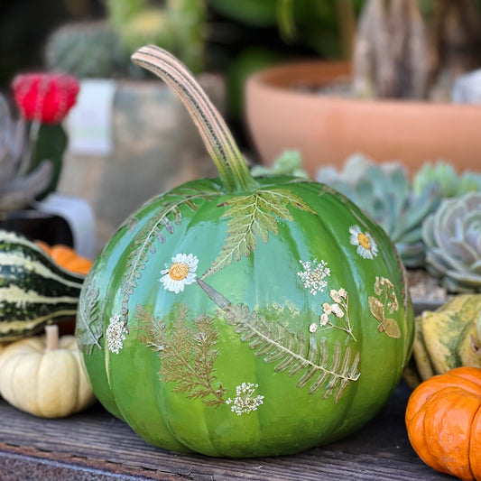 Fantasy Pumpkins