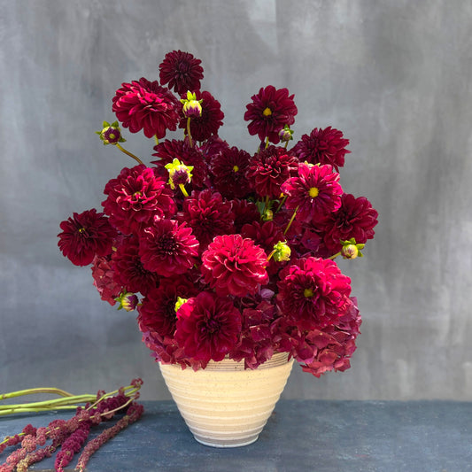 The Crimson Velvet