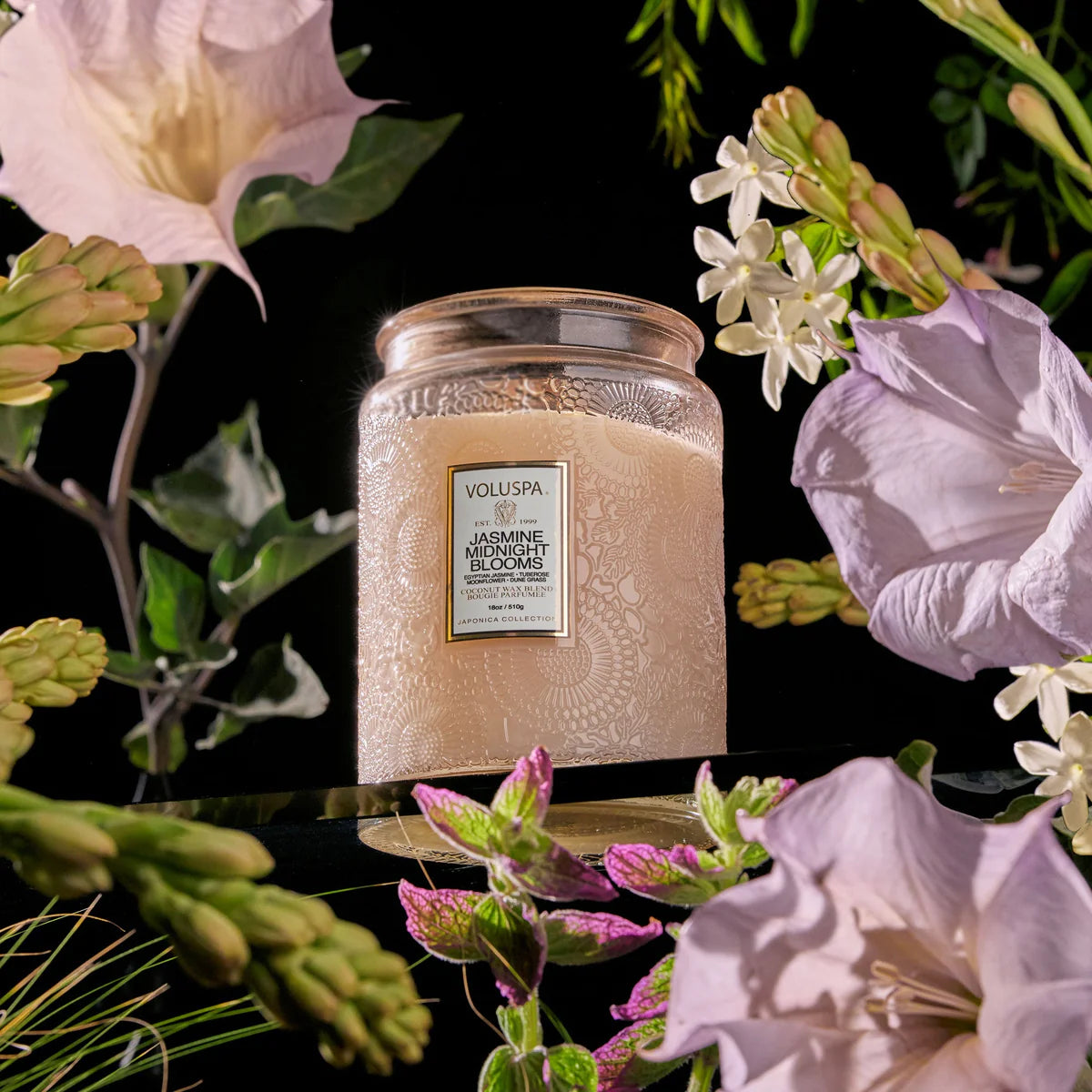 Voluspa - Large Jar Candle - Jasmine Midnight Blooms