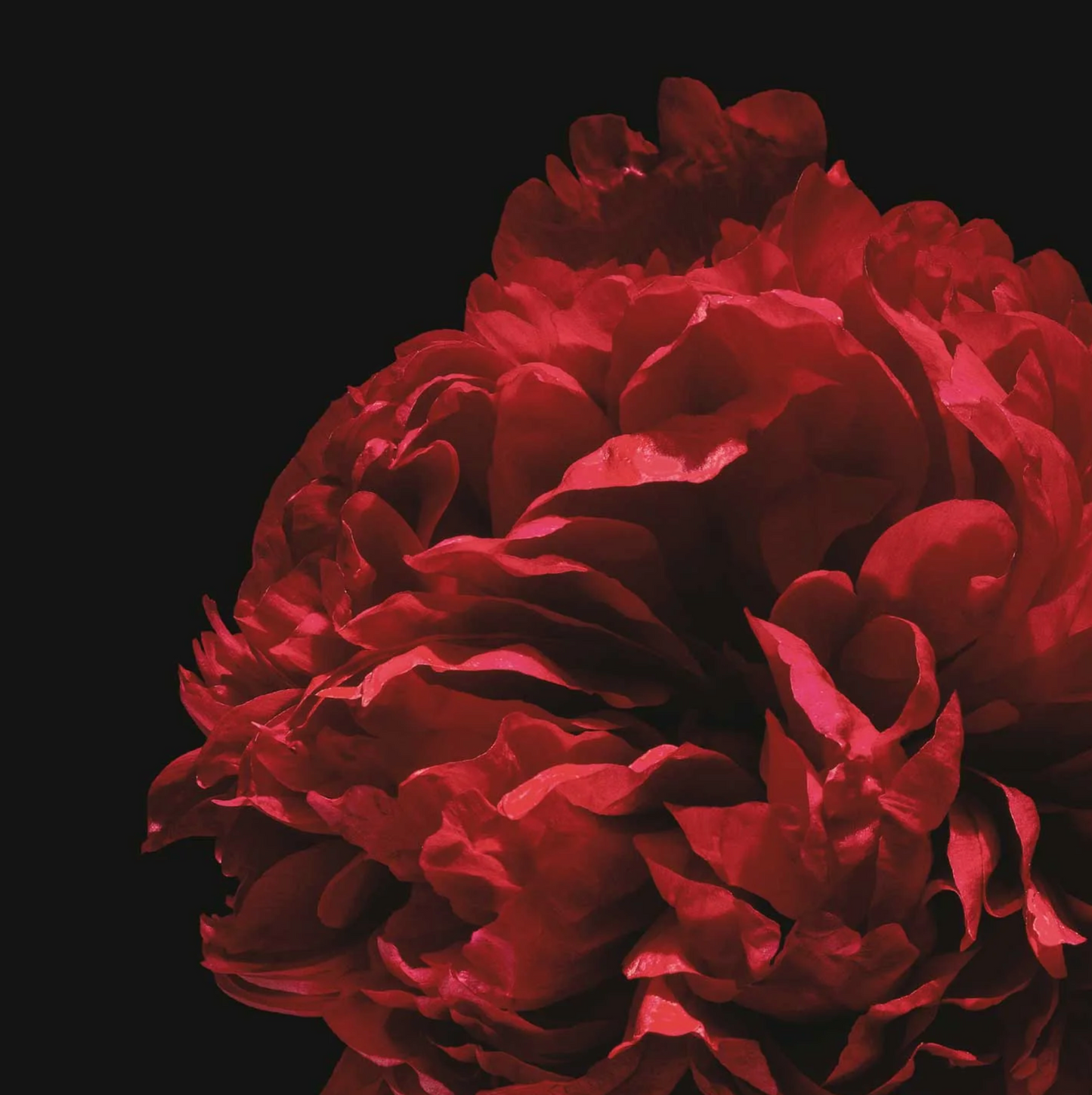 Evolvetogether - Bar Soap - Monaco