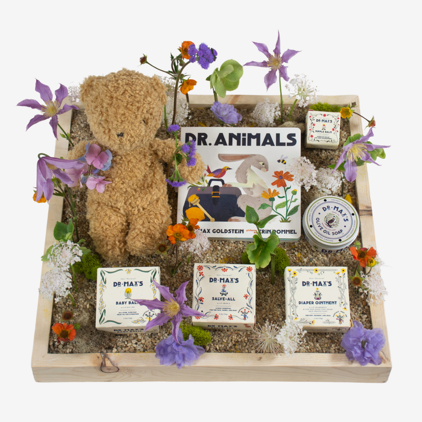New Baby Gift Box featuring Dr. Max and Alimrose