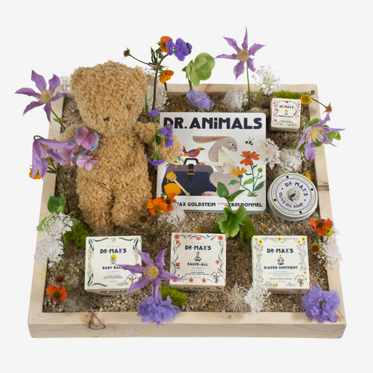 New Baby Gift Box featuring Dr. Max and Alimrose