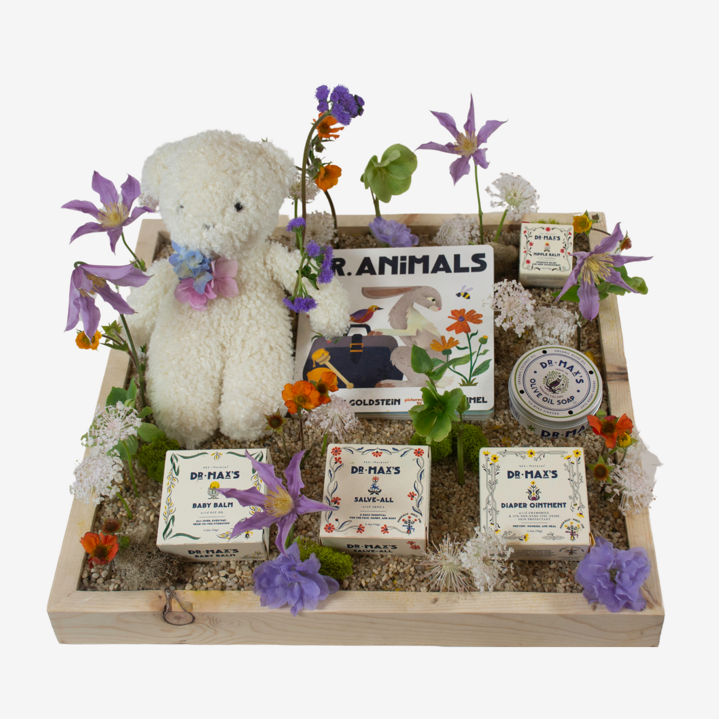 New Baby Gift Box featuring Dr. Max and Alimrose