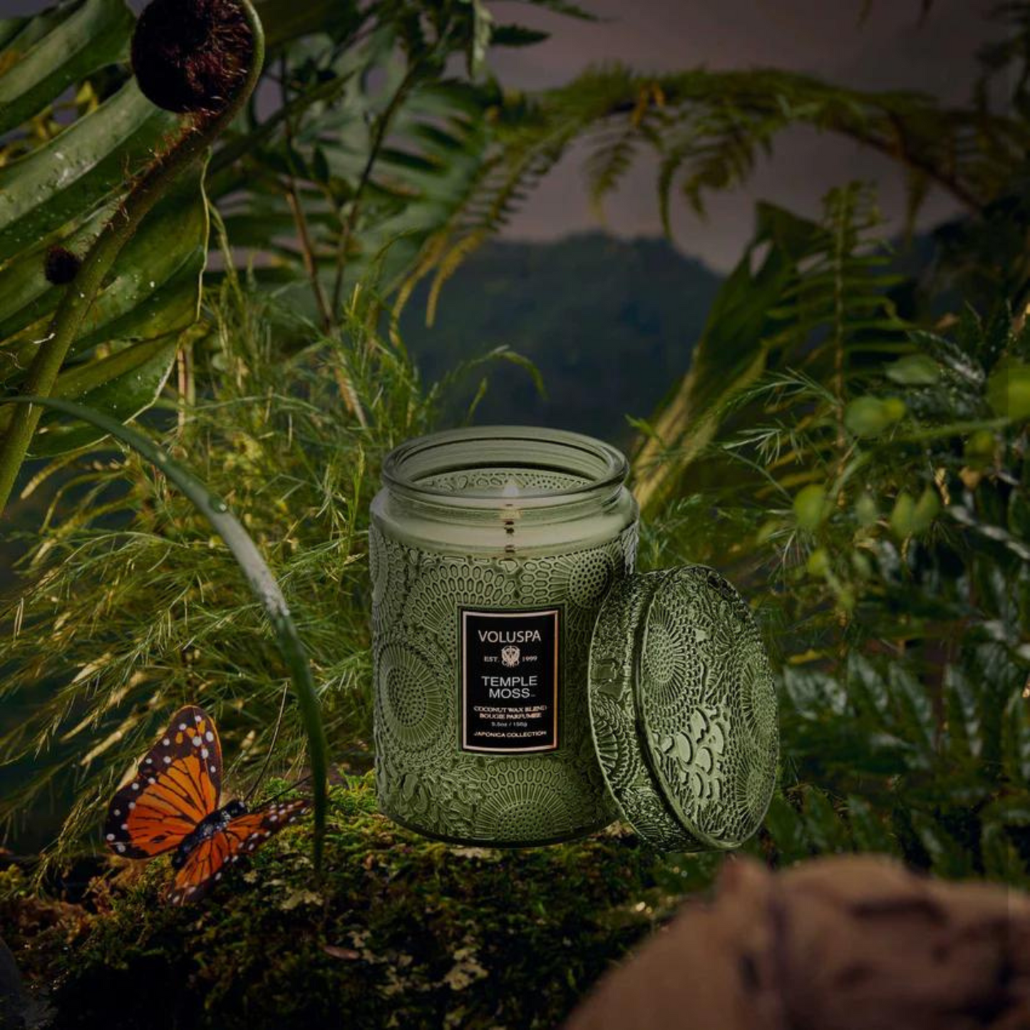 Voluspa - Small Jar Candle - Temple Moss