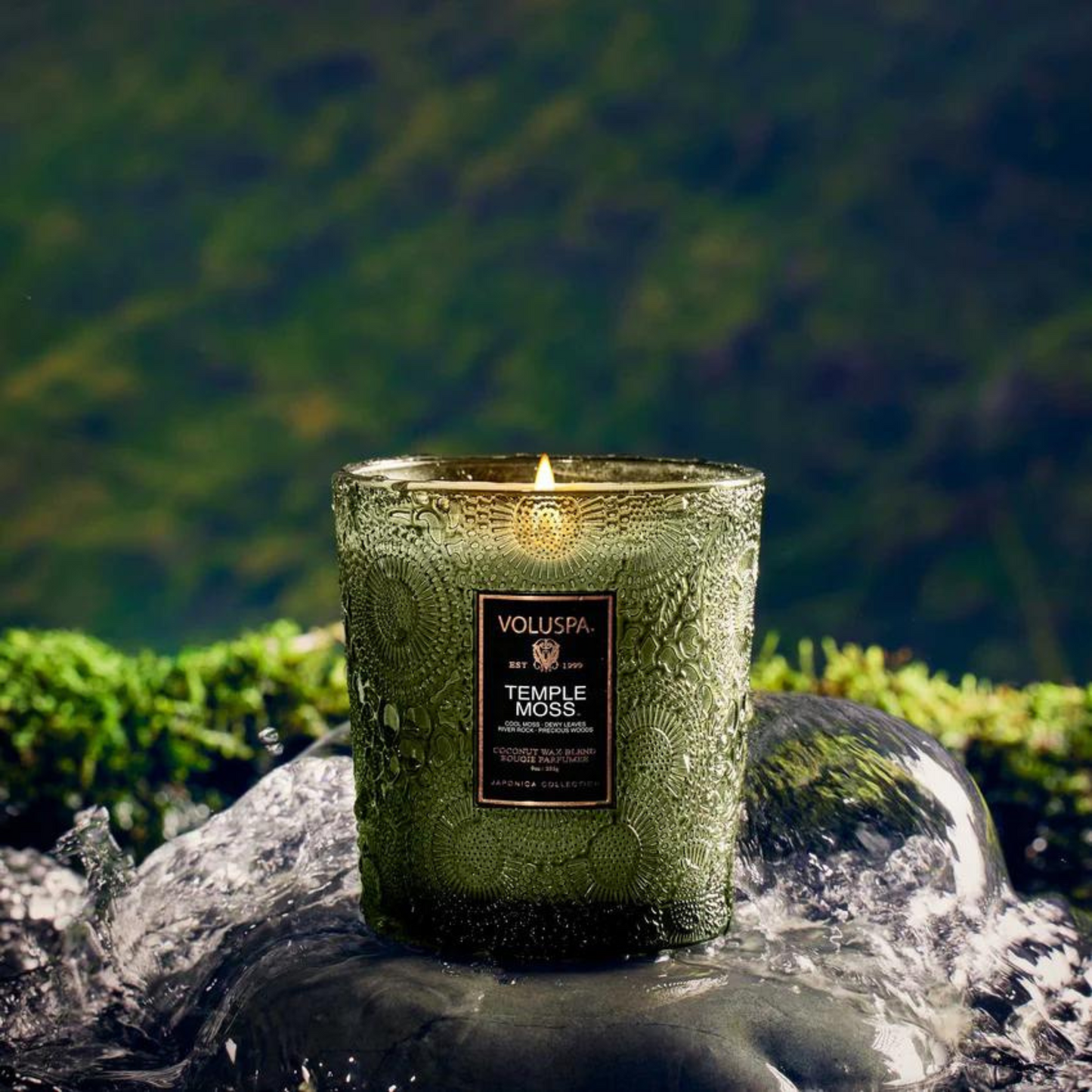 Voluspa - Classic Candle - Temple Moss