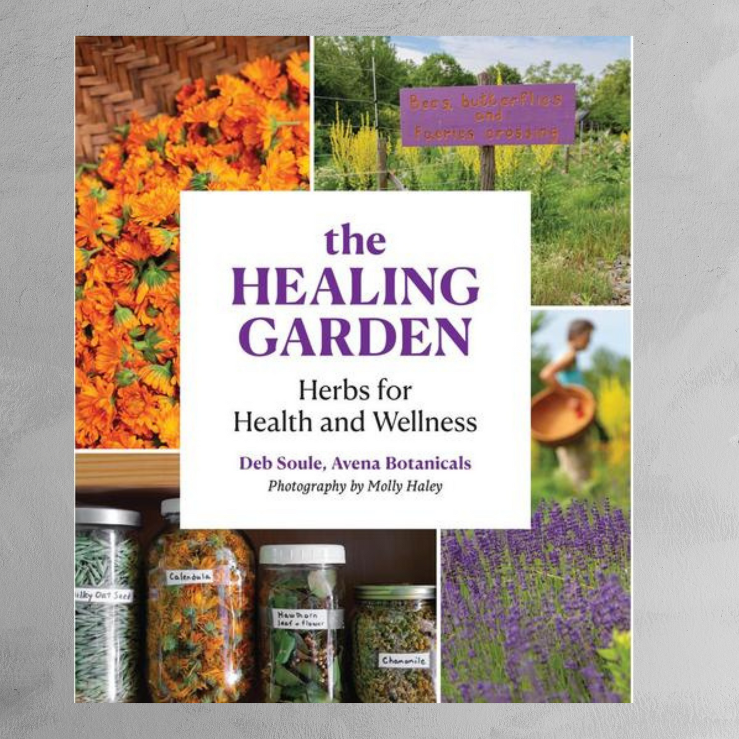 Book - The Healing Garden