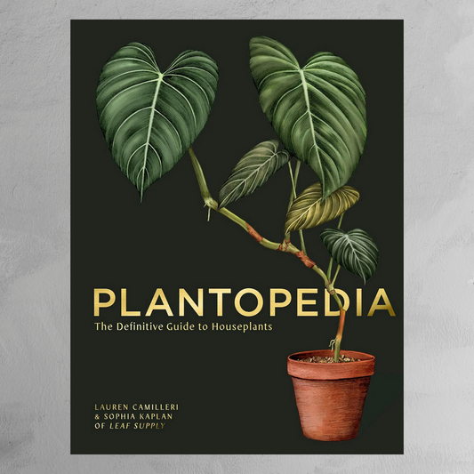 Book - Plantopedia: The Definitive Guide to Houseplants