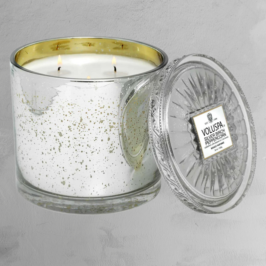 Voluspa - Grande Maison Candle - Silver Birch Peppercorn