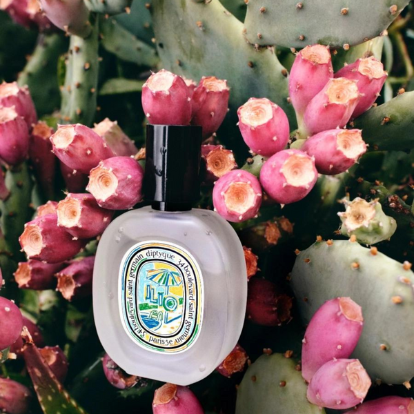 Diptyque - Summer Special Edition - Hairmist -Ilio – Empty Vase