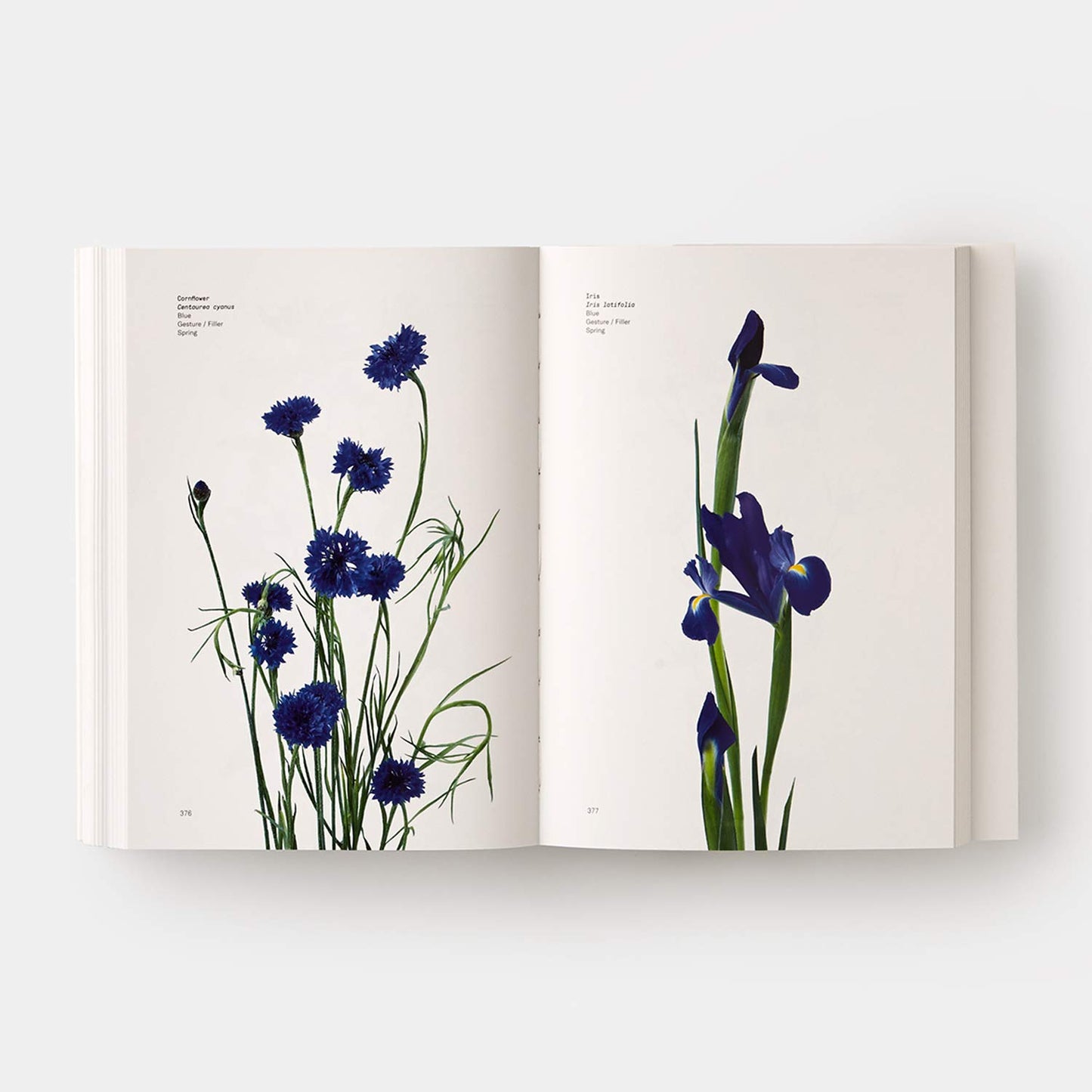Book - Flower Color Guide by Darroch Putnam