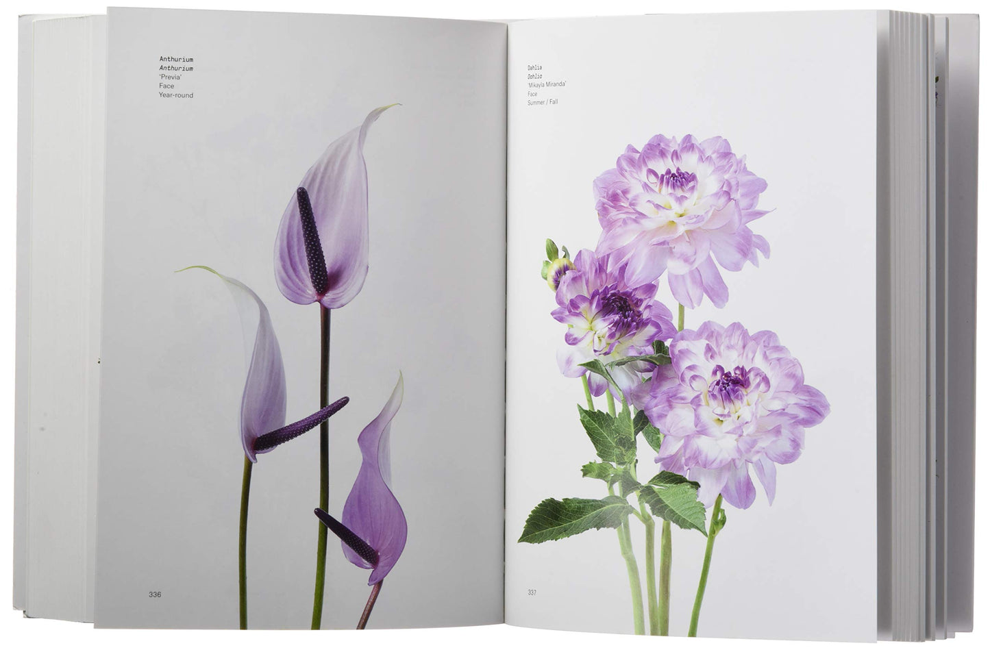 Book - Flower Color Guide by Darroch Putnam