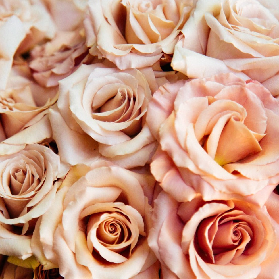 quicksand rose seeds Quicksand Roses Floral Arrangement - Empty Vase