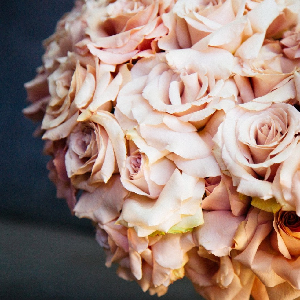 quicksand rose seeds Quicksand Roses Floral Arrangement - Empty Vase