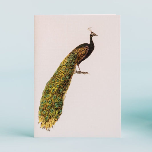 TokyoMilk - Peacock Greeting Card