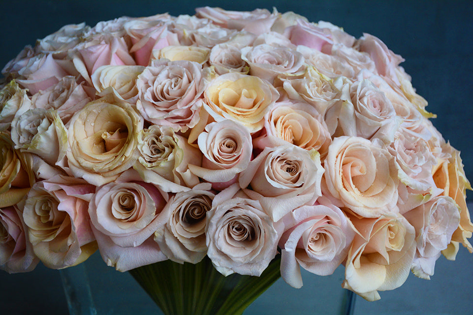 Blushing Roses