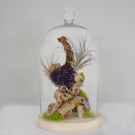 Amethyst Tree - One of a Kind Cloche