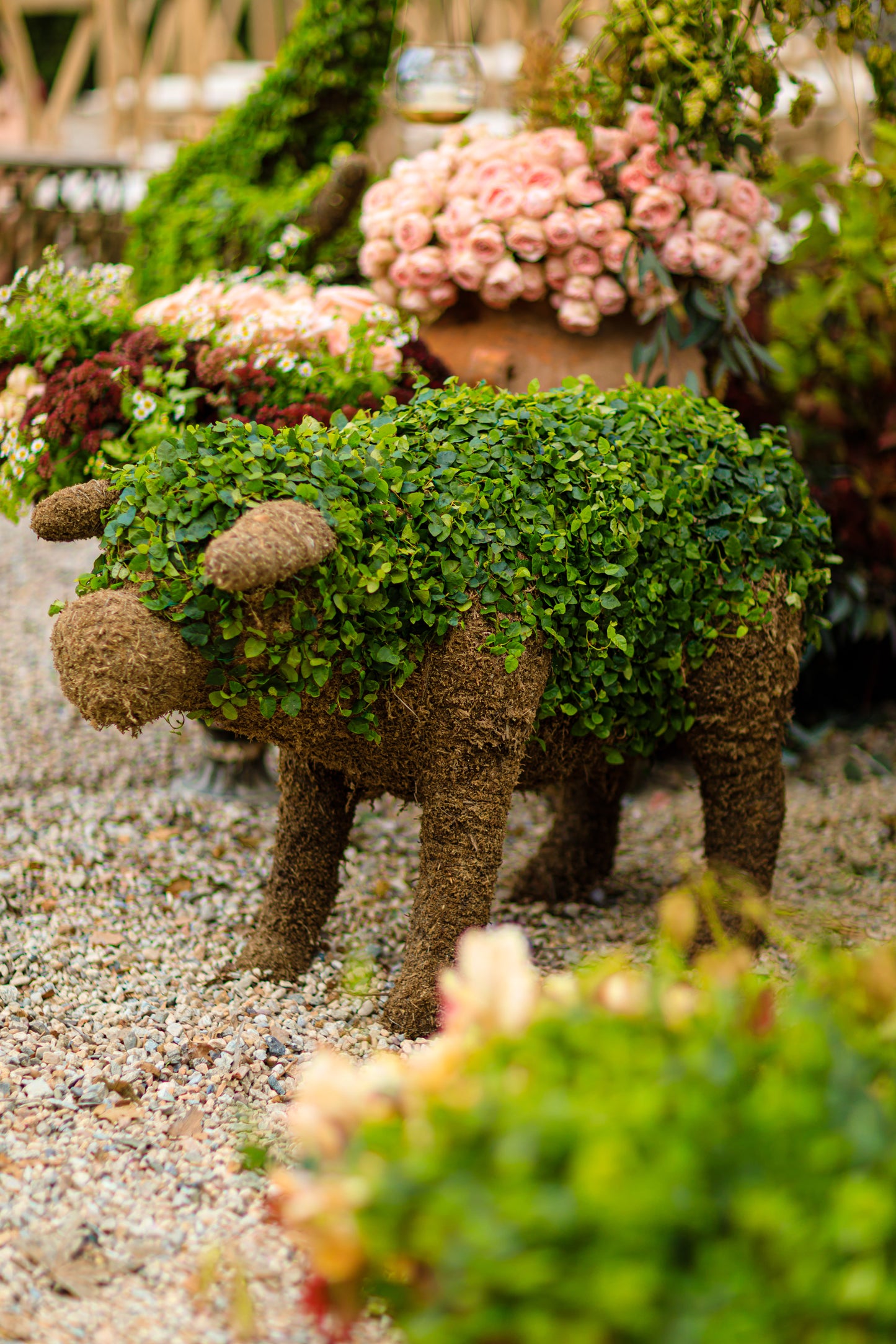 Pig Topiary