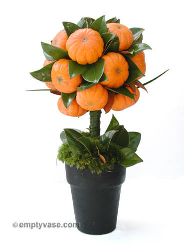 Tiny Pumpkin Topiary