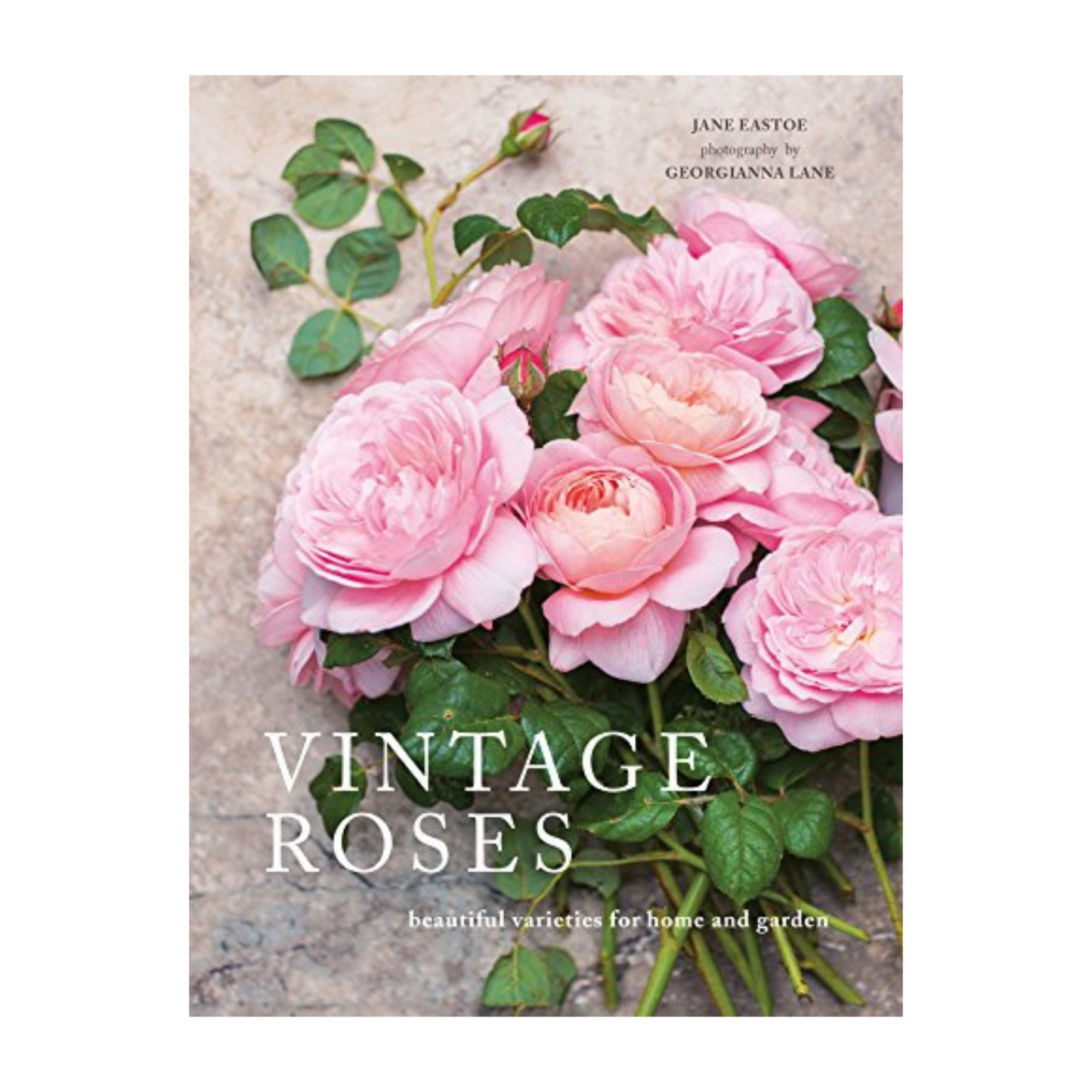 Book - Vintage Roses: Beautiful varieties for Home and Garden