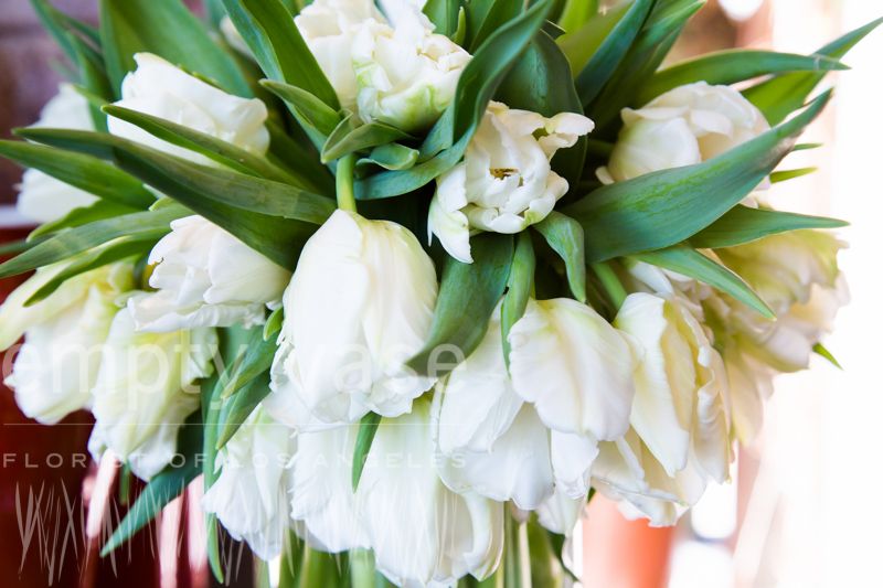 white tulip arrangements