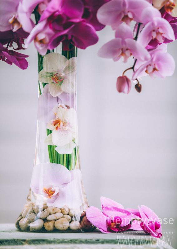 Bountiful Orchids