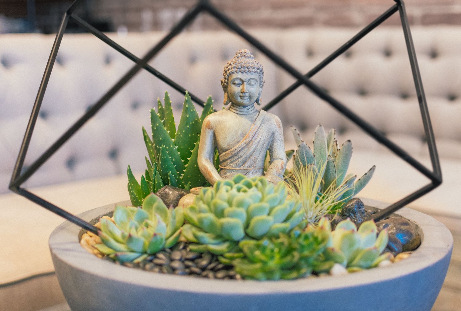 succulent arrangements for delivery Succulents Floral Arrangement - Empty Vase