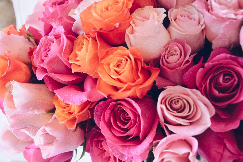 Pink, Lush and Cream Roses - Empty Vase Floral Arrangement