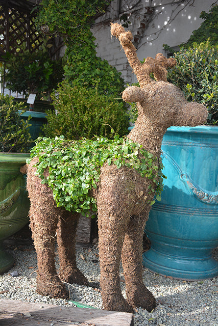 Deer Topiary