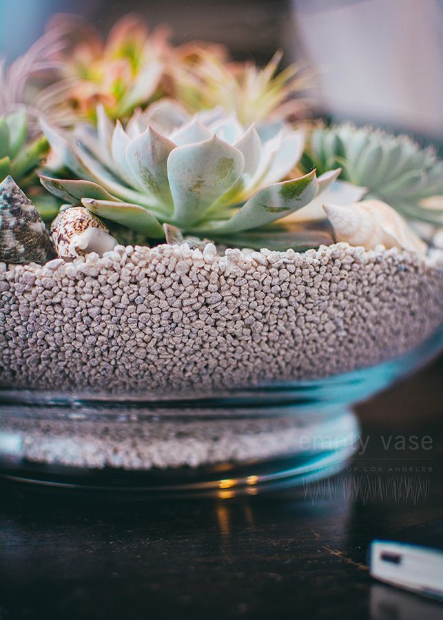 succulent arrangement delivery los angeles Desert Serenity